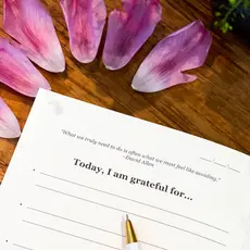 The Gratitude List The Gratitude List - Journal