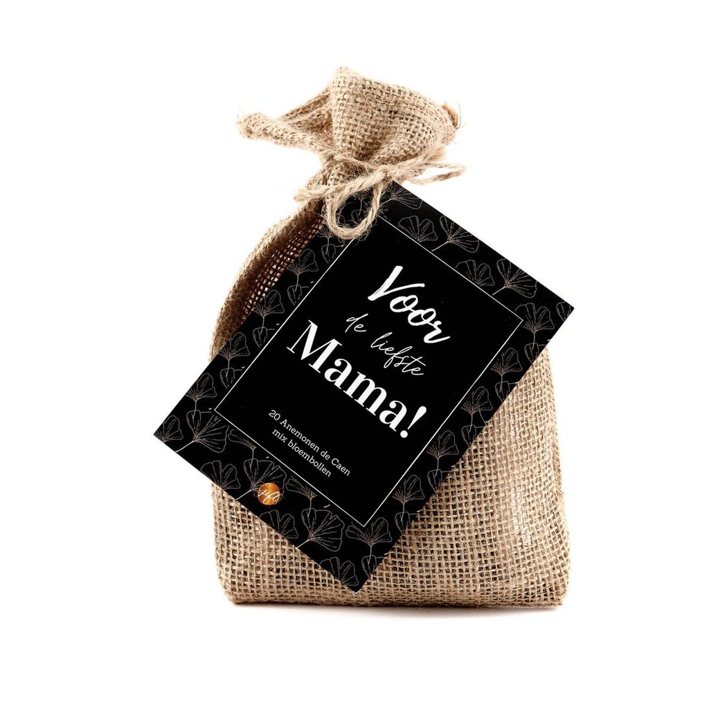 The Big Gifts B.V. The big gifts: Bloembollen – Mama
