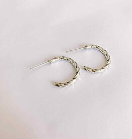 geen merk Oorbellen - zilver 003