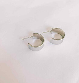 geen merk Oorbellen - zilver 005