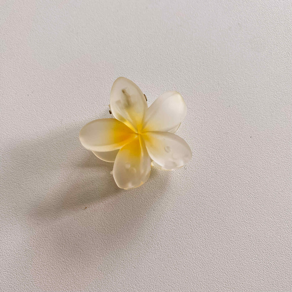 geen merk Haarclip - bloem - klein