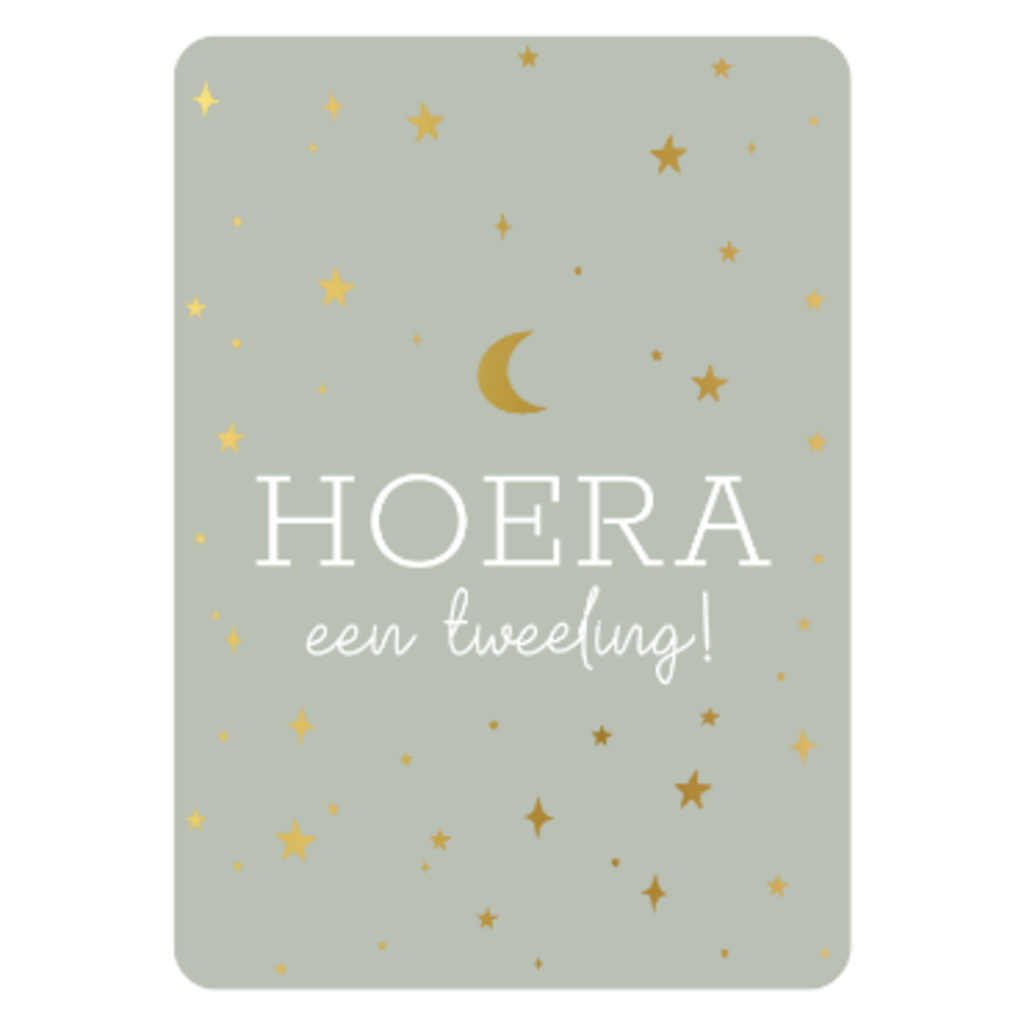 Kassaplan KP: kaartje a6 - Hoera een tweeling