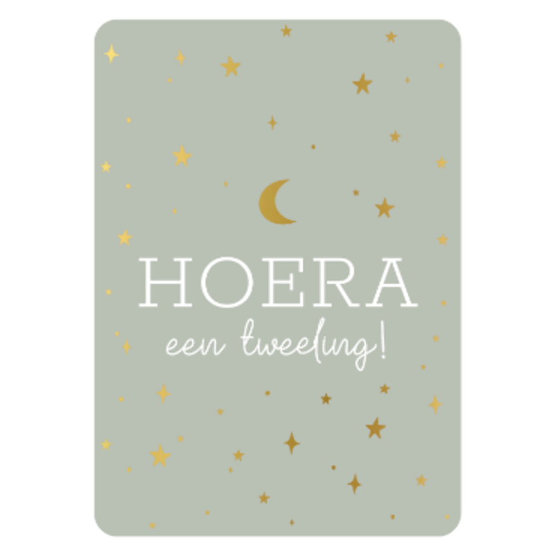 Kassaplan KP: kaartje a6 - Hoera een tweeling