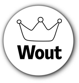 5 ronde naamstickers - naam + kroontje