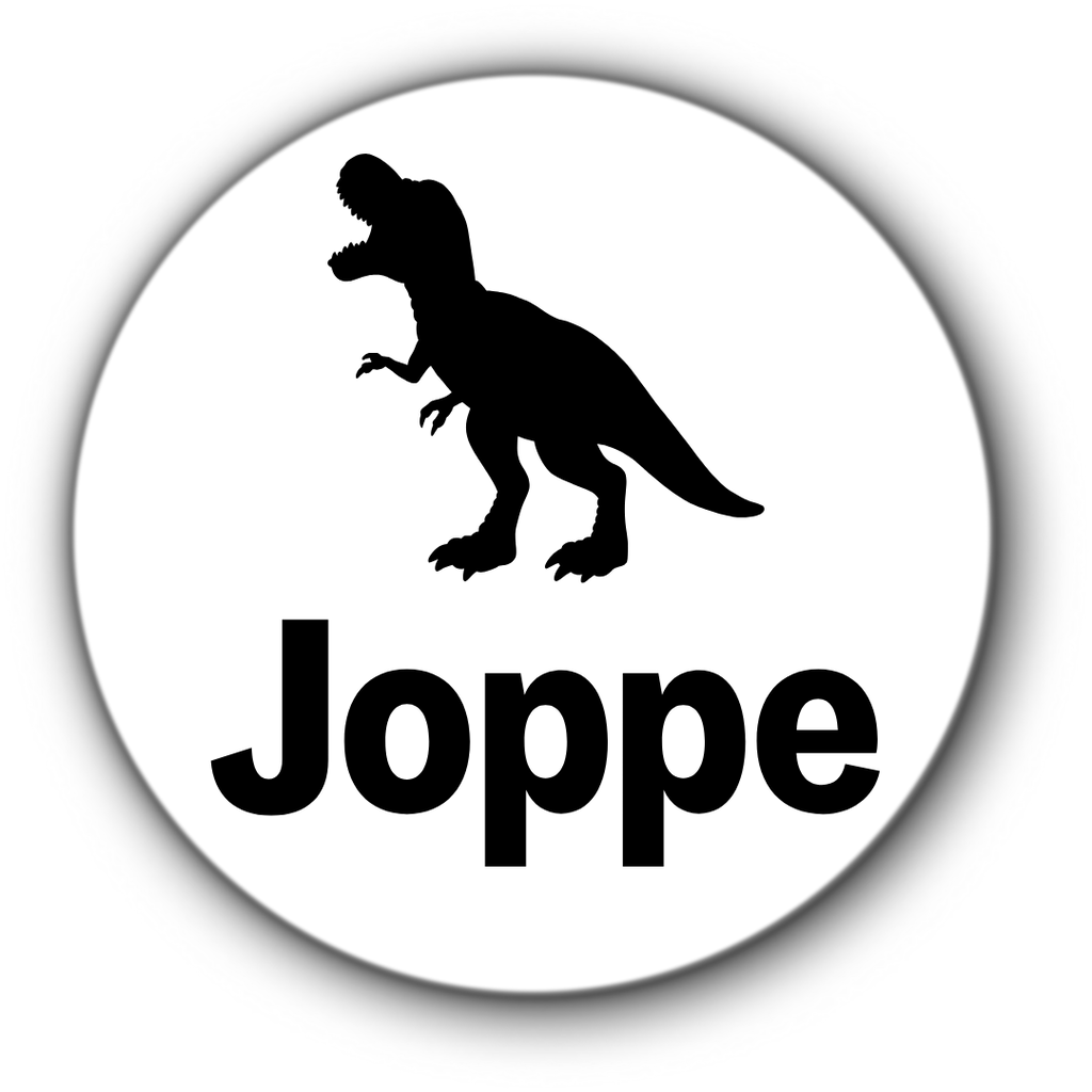 5 ronde naamstickers - naam + dino