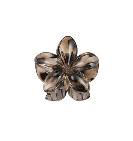 Yehwang Yehwang: Hawaiiaanse bloemen haarclip - bruin