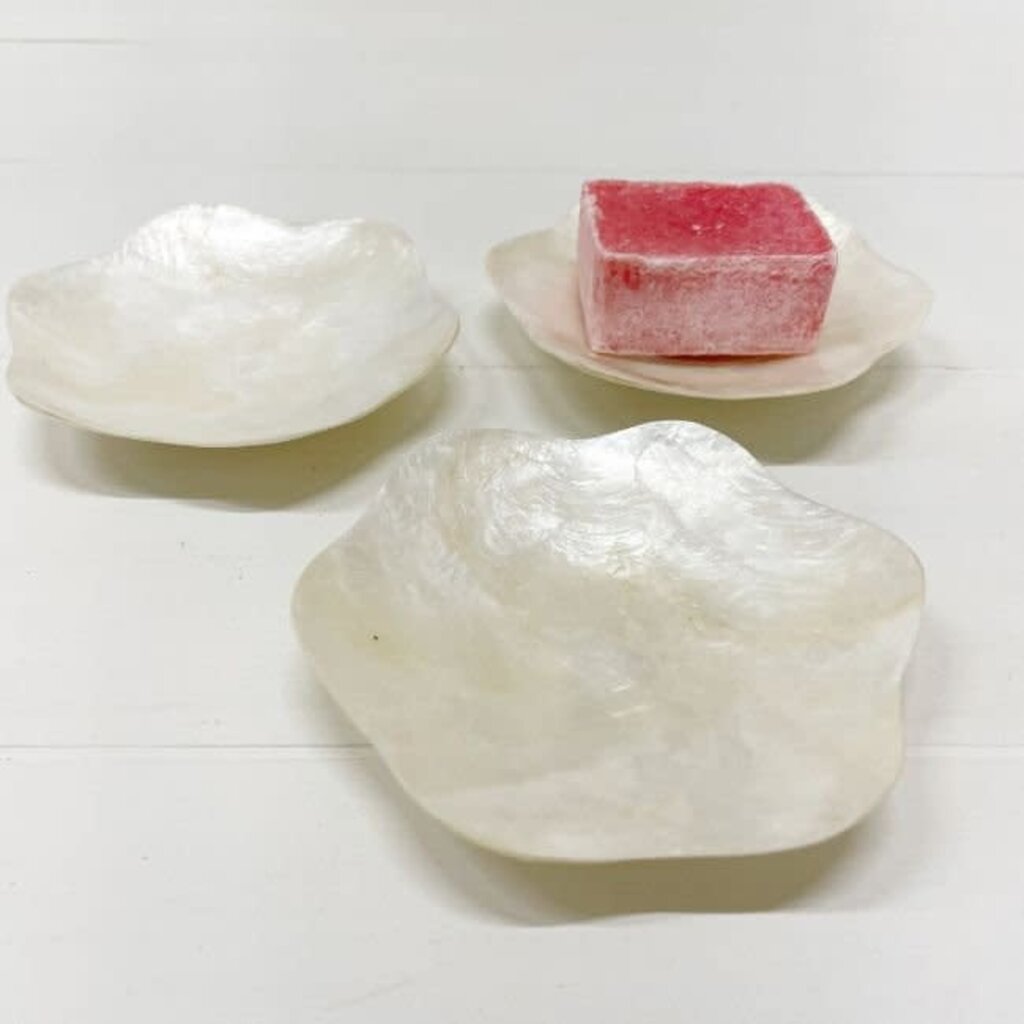 ByBazz B.V. ByBazz: Schaaltje Schelp Capiz Wit - bloem