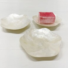 ByBazz B.V. ByBazz: Schaaltje Schelp Capiz Wit - bloem