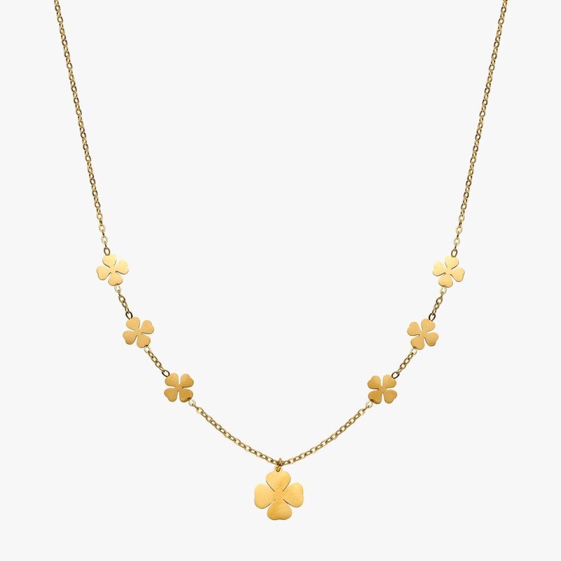 Liet & Joliet Liet & Joliet: ketting