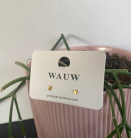 Wauw Wauw: oorbellen - sterretjes