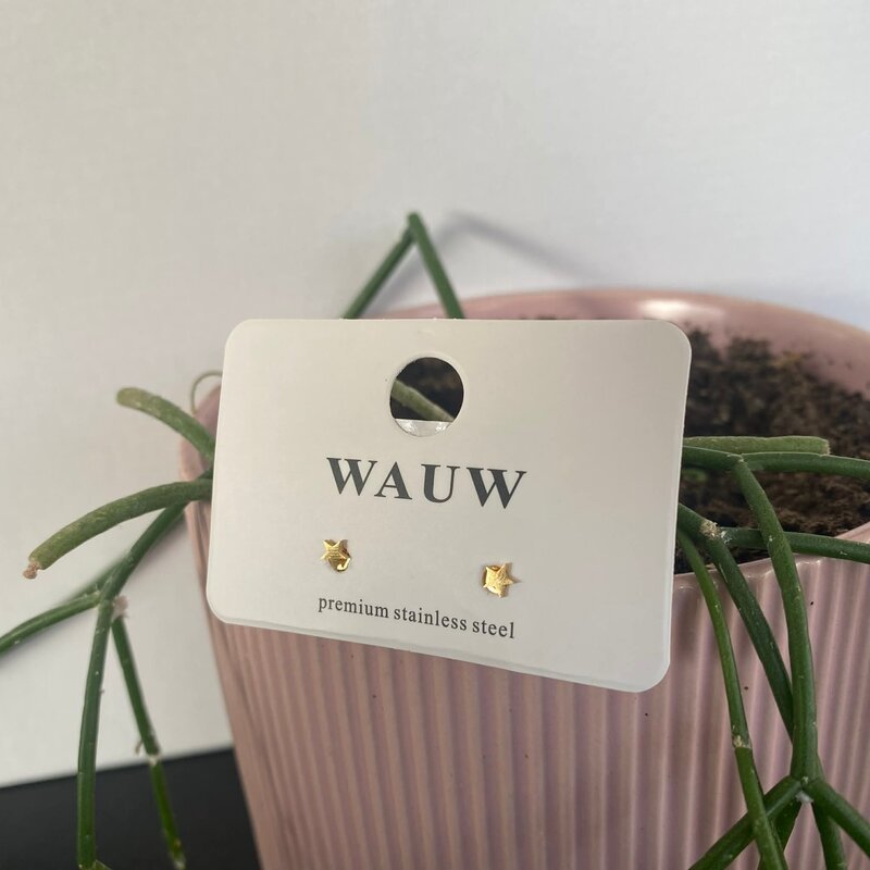 Wauw Wauw: oorbellen - sterretjes