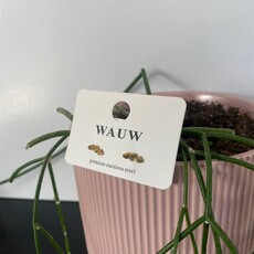 Wauw Wauw: oorbellen - 3 hartjes