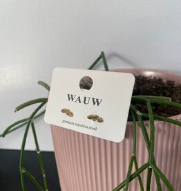 Wauw Wauw: oorbellen - 3 hartjes