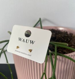 Wauw Wauw: oorbellen - hartjes klein