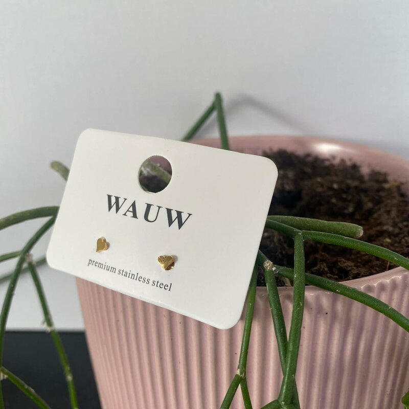 Wauw Wauw: oorbellen - hartjes klein