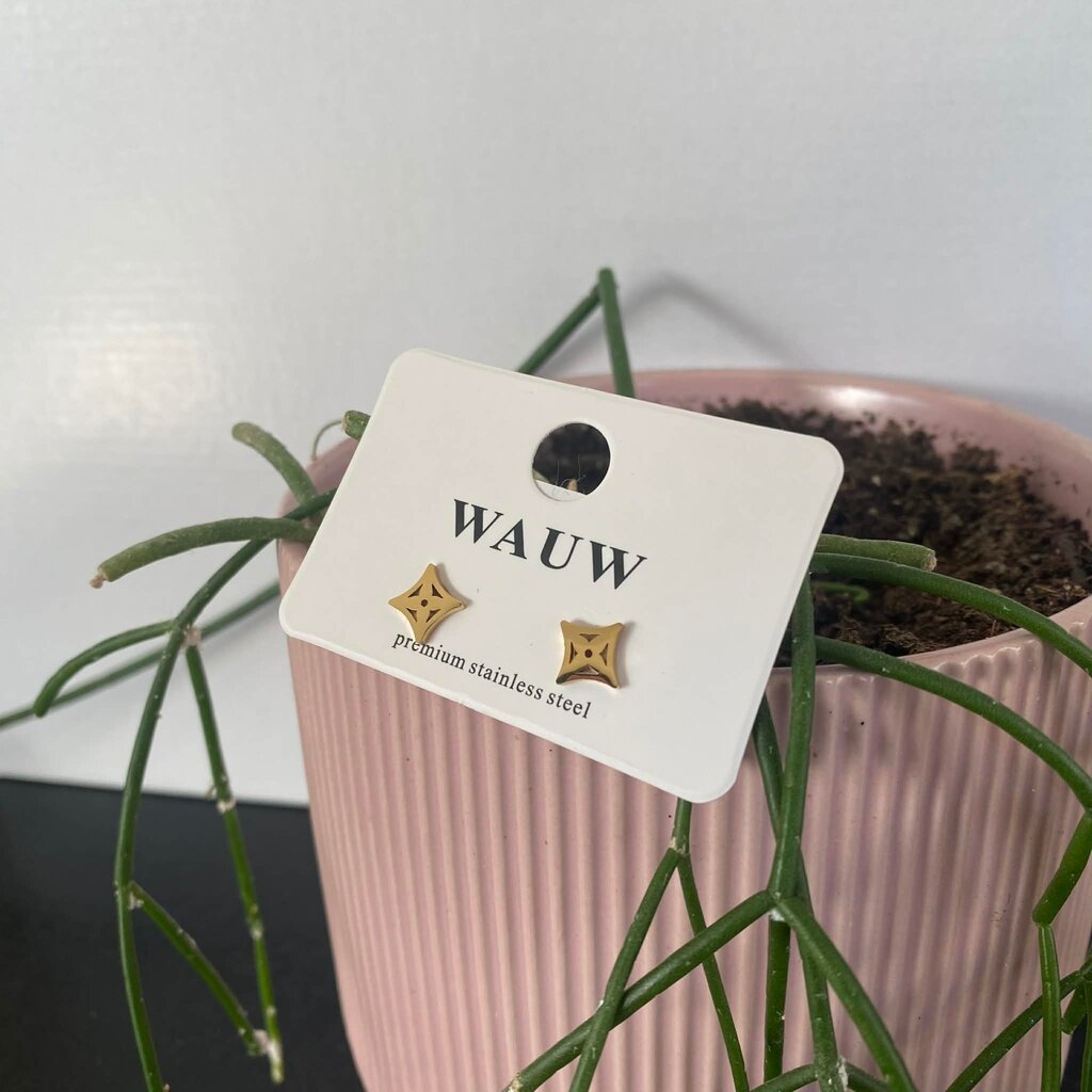 Wauw Wauw: oorbellen