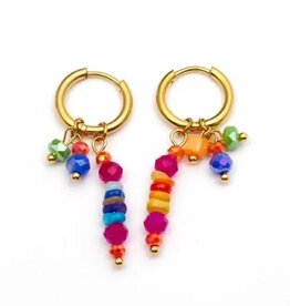 Wauw Wauw: oorbellen