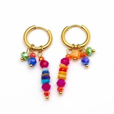 Wauw Wauw: oorbellen