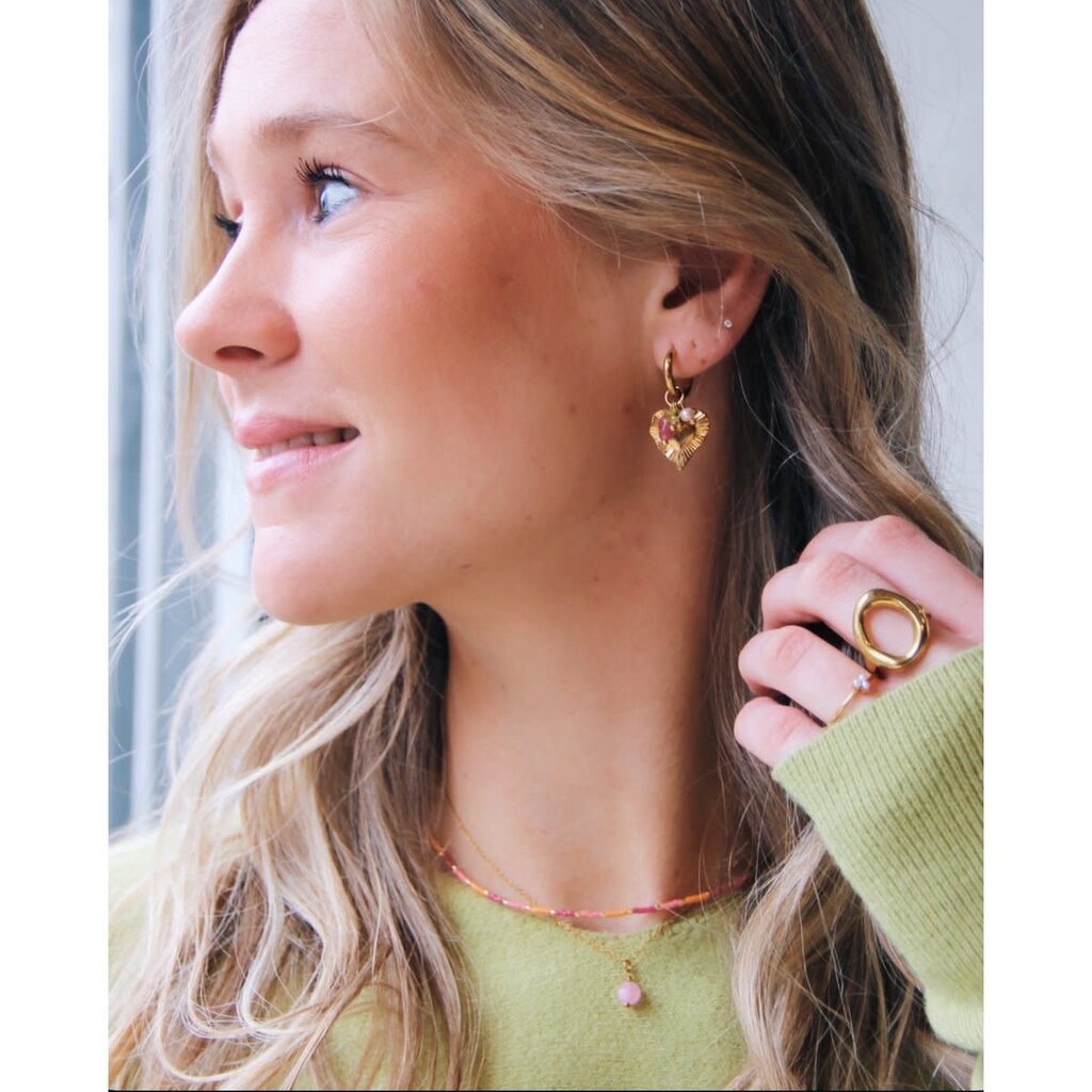 Bazou Bazou: oorbellen - RVS oorringen met HART en gekleurd cluster