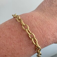 Wauw Wauw: armbandje goud in stainless steel - schakels open