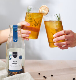 Pineut Pineut: Cocktail | Gin Tonic | Cocktail maken | karaf | BIO