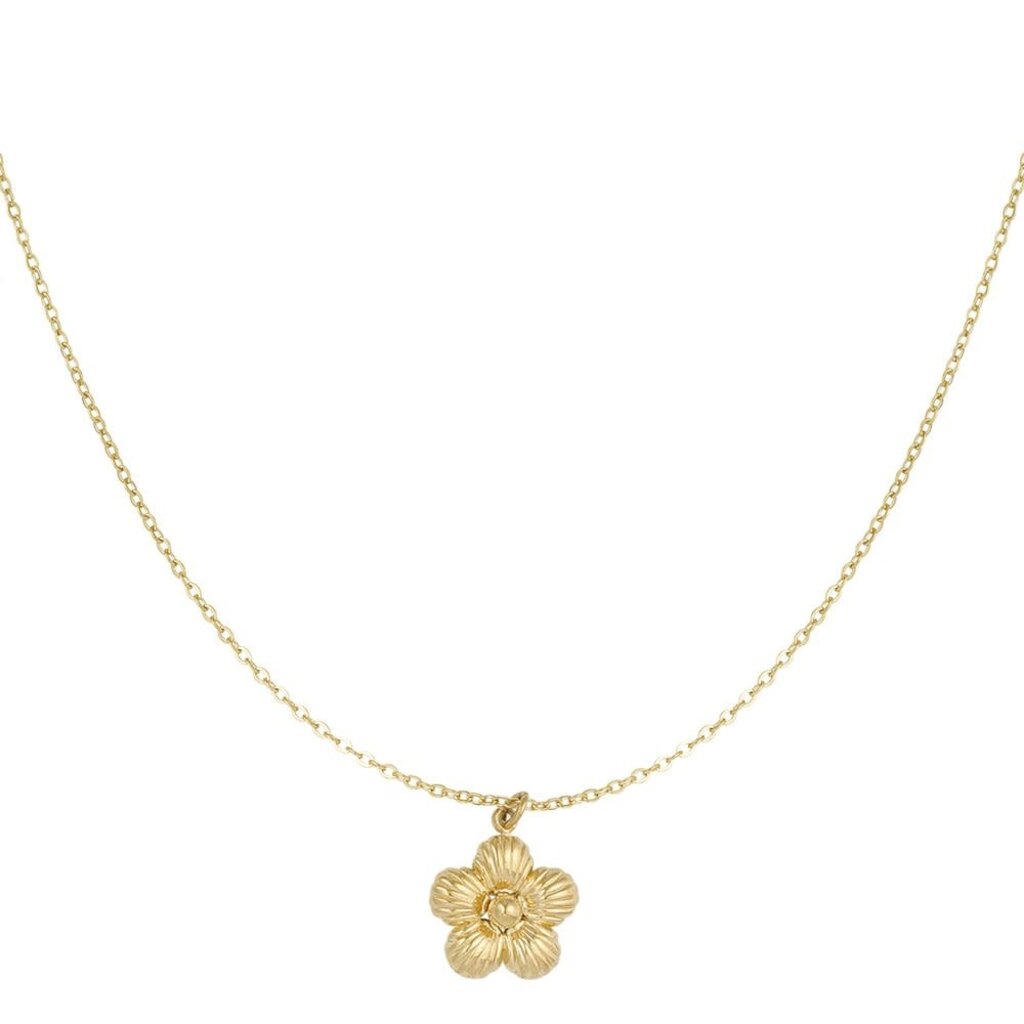 Yehwang Yehwang: ketting
