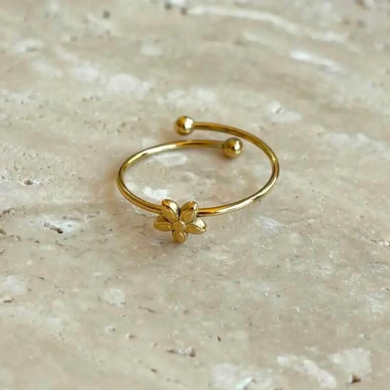 Wauw Wauw - verstelbare ring