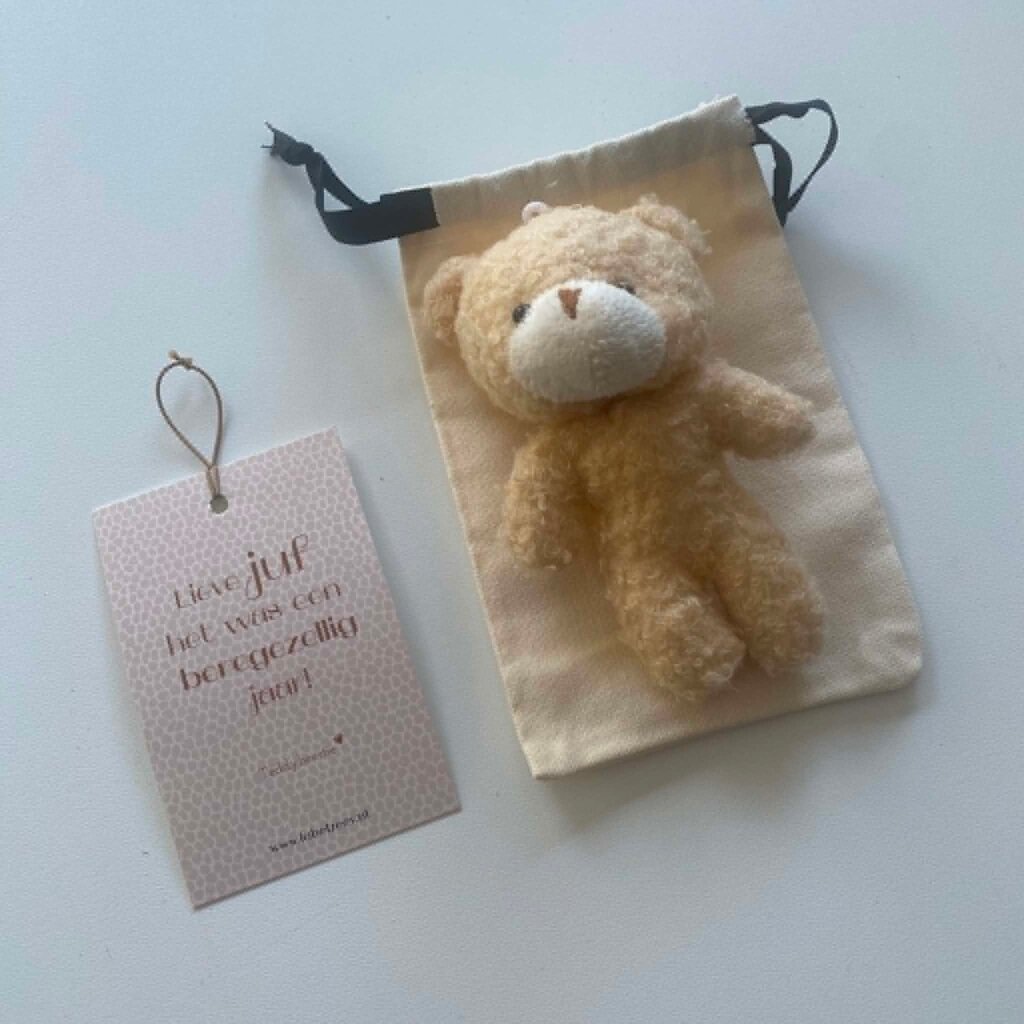 Label ZeeV Label ZeeV: Stoffen zakje met kaartje "JUF" | met teddybeertje