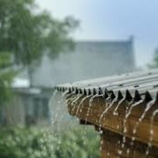 Regenwater voordelen