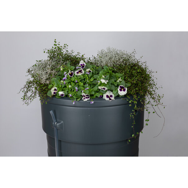 Regenton planter 320L
