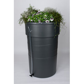 Regenton planter 320L