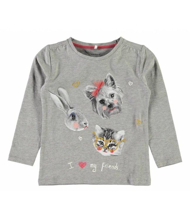 Name It Meisjes Kinderkleding Grijze T-Shirt Dabina