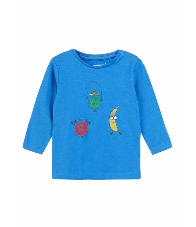 Name It Babykleding Jongens Blauwe Tshirt Demal