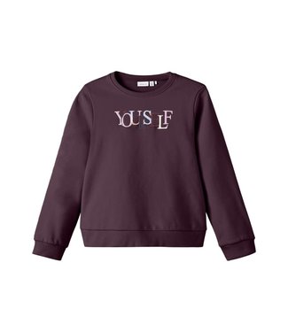 Name it Name-it Meisjes Sweater Naself Fig