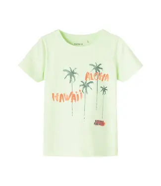 Name it Name it Jongens Kinderkleding Groene Tshirt Frankie Lime Cream