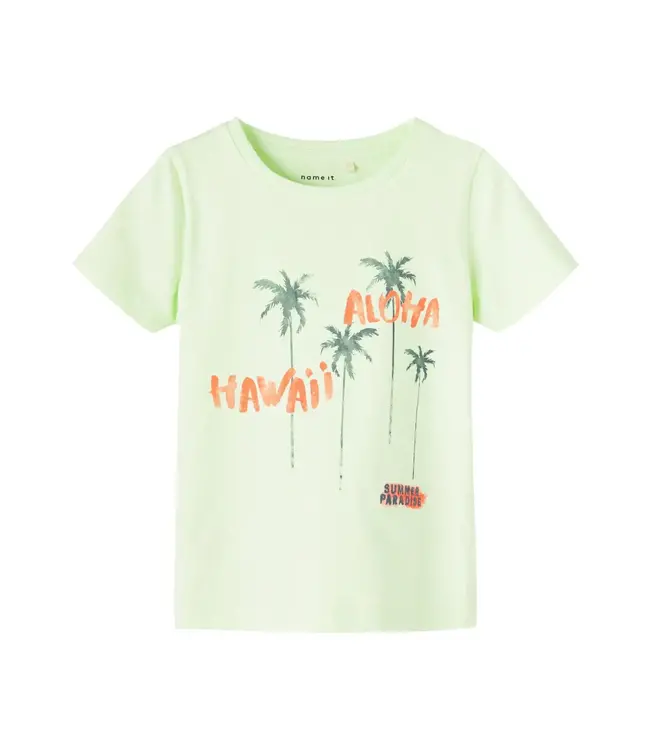 Name it Jongens Kinderkleding Groene Tshirt Frankie Lime Cream