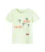 Name it Jongens Kinderkleding Groene Tshirt Frankie Lime Cream