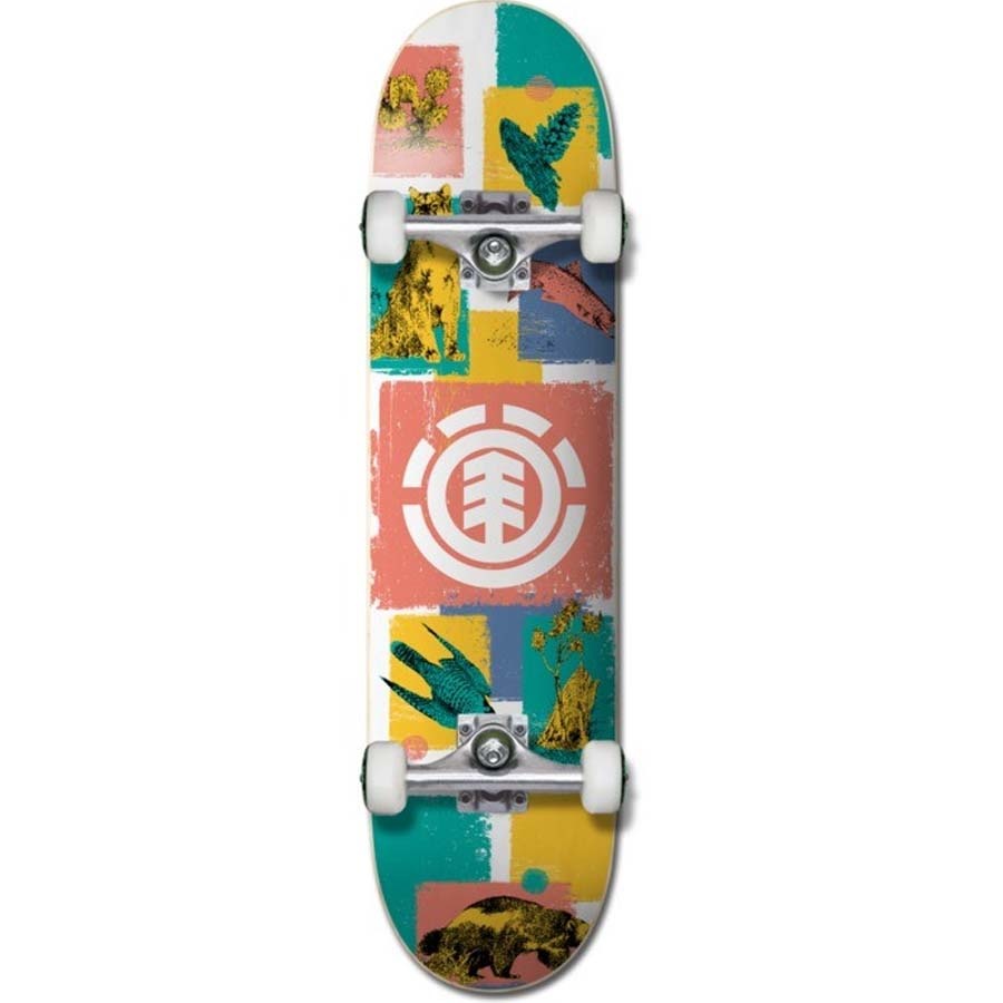 7.375" Naturalist Skateboard Complete