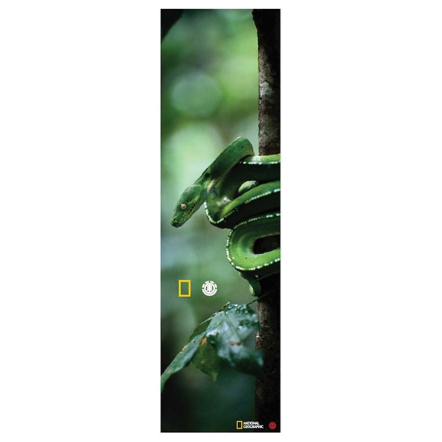 9" National Geographic Spirit Griptape Green