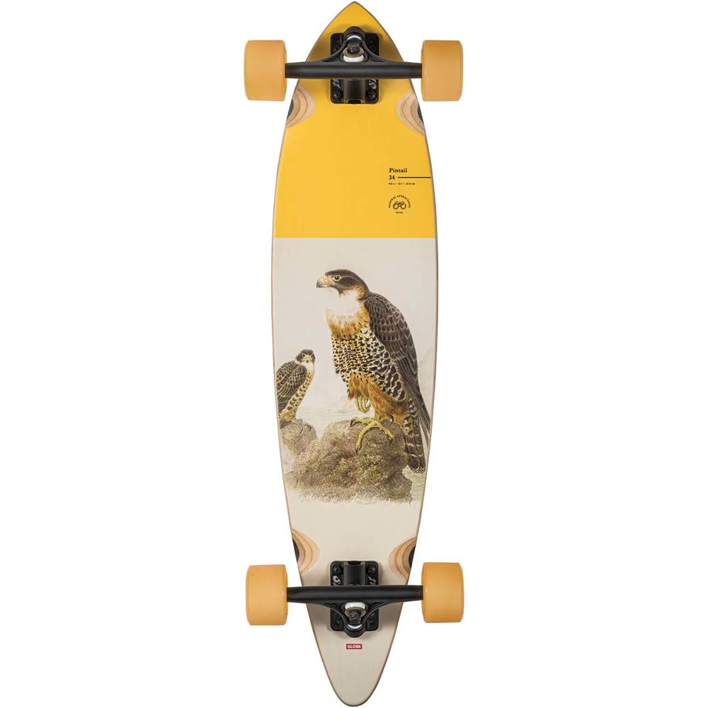 34" Pintail Falcon Longboard Complete 2022