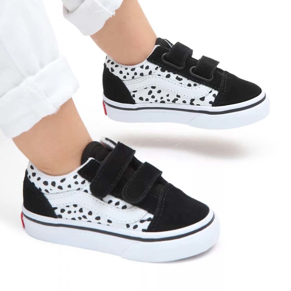 Dalmatian vans cheap