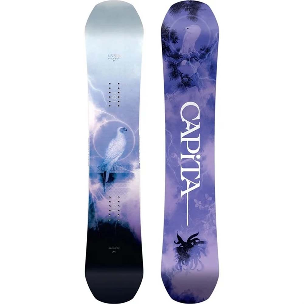 Birds Of A Feather 2024 Snowboard