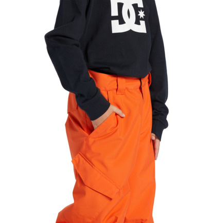 Banshee Orangeade Youth Snowboard Pants 2024
