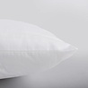 Suite Sheets Budget Hoofdkussen - Holle Vezel Suite Sheets Budget Hoofdkussen - Holle Vezel