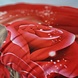 Suite Sheets Bedrukte dekbed met rode Rozen All Season Suite Sheets Bedrukte dekbed met rode Rozen All Season