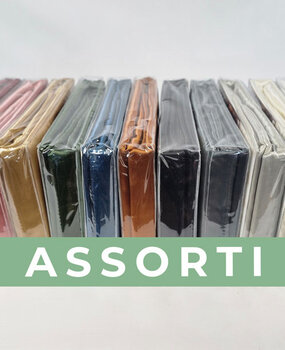 Beauty Silk Duvet cover Satin Assorti