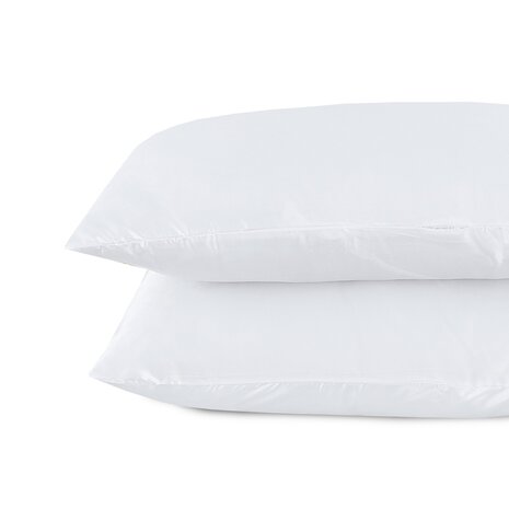 Beauty Silk Tapestry cushions Satin White - 2 pieces