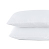 Beauty Silk Tapestry cushions Satin White - 2 pieces Beauty Silk Tapestry cushions Satin White - 2 pieces