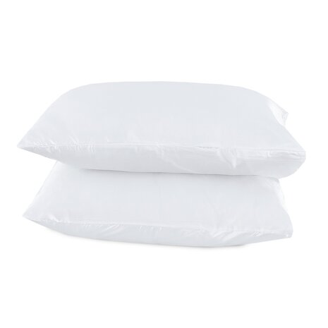Beauty Silk Tapestry cushions Satin White - 2 pieces