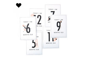 Baby Milestone Kaarten meisje (12st)